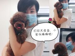 -美联众合爱康动物医院•复杂内科•肿瘤科•牙科•腔镜诊疗中心