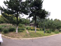 -莫子山公园