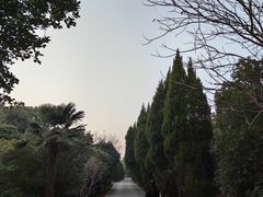 -广富林郊野公园