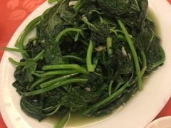 猪油渣炒番薯叶-深运潮州粥(东门店)