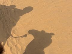 -银肯塔拉沙漠生态旅游景区