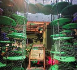 -恐龙探索乐园(磁器口店)