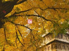 -北京石刻艺术博物馆(五塔寺)