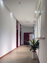 -南京医科大学友谊整形外科医院