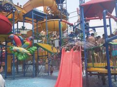 -苏州乐园森林水世界