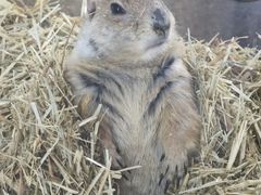 -海合安武汉极地海洋公园