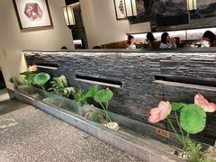 -大榕树下顺德菜(融创茂店)