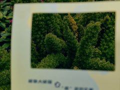 -广州花园酒店