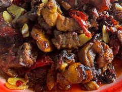 -柴窝堡22号辣子鸡·传承新疆菜