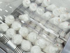 冰激凌杯-白色日记·手作酸奶(麦凯乐店)