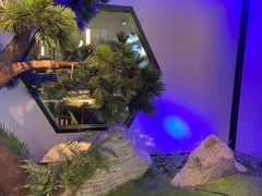 -绿茶餐厅(成都大悦城店)