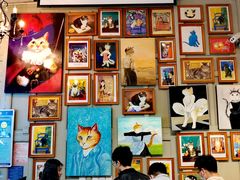 -猫咪博物馆(顶澳仔猫街店)