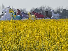 -中国天府农业博览园