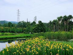 -华南国家植物园-售票处