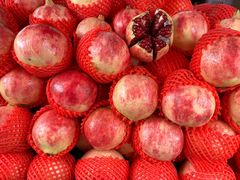 -南坛综合农贸市场