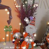 💥沈阳减肥|圣诞🎅礼物🎁 请你“瘦”下