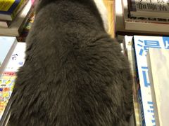 -小时光咖啡馆(开森度假森林店)