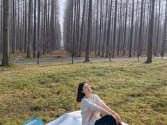 -黄海国家森林公园