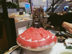 -洪氏嗨捞·猪肚鸡火锅(阳光天地店)