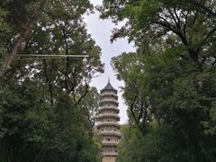 -灵谷景区