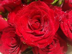 -拾花记花艺·求婚·订婚·生日布置(高新店)