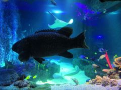 -沈阳海洋探索中心