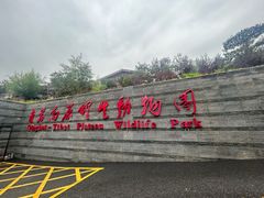 -青藏高原野生动物园