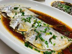 蒸平鱼-华盛丰温州大排档(东三环南路店)