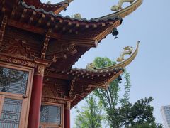 -龙潭水乡