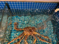 -霞客居酒店·霞客食府·宁海特色小海鲜