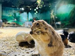 -天河城购物中心