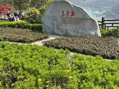 -铁山坪森林公园