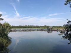 -溱湖国家湿地公园