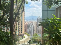 -香港大学