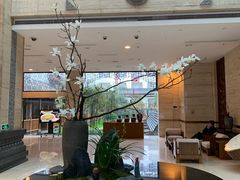 -九华山聚龙大酒店