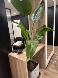 -Garden花園造型