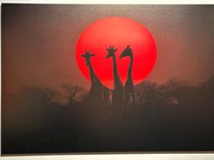 -罗红摄影艺术馆