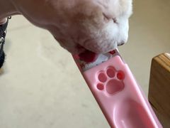 -藏猫猫咖啡主题馆(中央大道店)