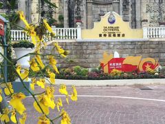 -深圳东部华侨城茵特拉根酒店
