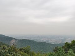 -杭州半山国家森林公园