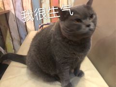 -小时光咖啡馆(开森度假森林店)