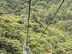 -青城山