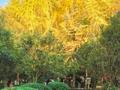 -四川大学(望江校区)