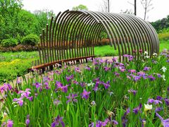 -昆山城市生态森林公园