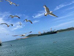 -海驴岛(荣成市)