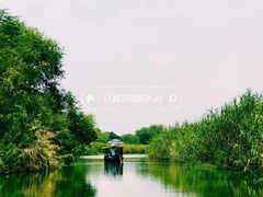 -西溪国家湿地公园