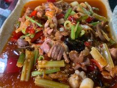 -青城甲(青城山店)