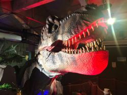 -恐龙探索乐园(磁器口店)
