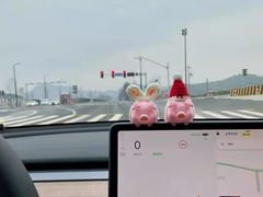 -TESLA 特斯拉(上海太古汇体验店)