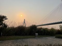 -芒洲湿地公园